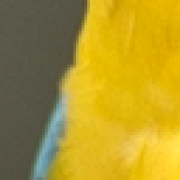 _images/8161b59aea16e32445d8a9a643da6e81c46345b703a0aa0b74c125ca1666a5a7.png