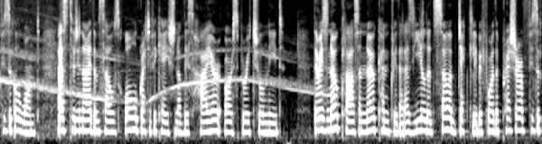 _images/1c97bdf3939952094e4f18da5235a774be6f967dc46acdd3473a8d8001a268e6.webp