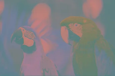 _images/3d45e89225183f4bdfbcd92624891a7c5d8f53efaf56ee12d3a88af6fc97e6e9.webp
