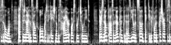 _images/8153a66b960dcbecc9c7179bcc2d6e8d4e897889a58fbe6cdd2068f49649c42e.webp