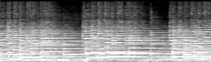 _images/8753d8e51a4b88ef8f7cb8b8d40f5cb9ee17a9a8cbd82c6456808c2dbf9188ec.webp