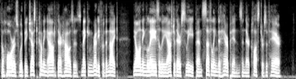 _images/8b28846099d49ebec0b61422147eee0a726794cec9b4f26e215ce999a2335b65.webp