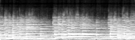 _images/91315f62b7e6322ca724b29b76050ef60587ae64447a0f016ce0dd710eb18308.webp