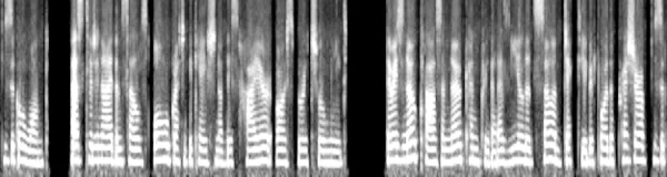 _images/c1fc5717c038f26f35b58ad8a4ff7b595be8a872d8e29eb23bee0c9f6fa28b56.webp
